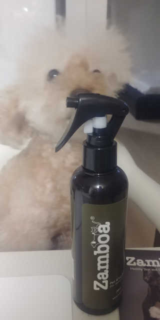 갱스터님이 올린 리뷰 사진 1