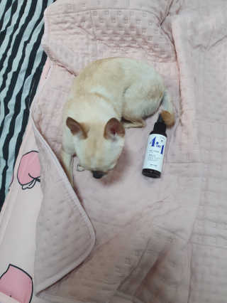 써니님이 올린 리뷰 사진 2