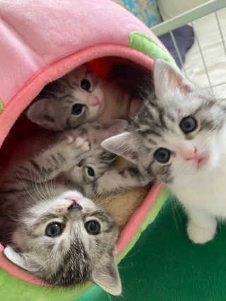 곰주님님이 올린 리뷰 사진 3