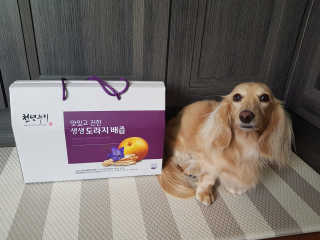 5_daks님이 올린 리뷰 사진 1