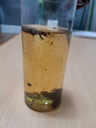 콩표님이 올린 리뷰 사진 4