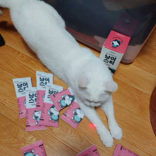 라온시연님이 올린 리뷰 사진 1