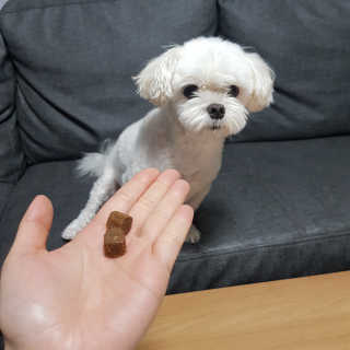 My Pet Care 천연단백질 관절건강에 개좋아 — 4.5점을 준 리뷰어가 2020년 12월 올린 사용 사진
