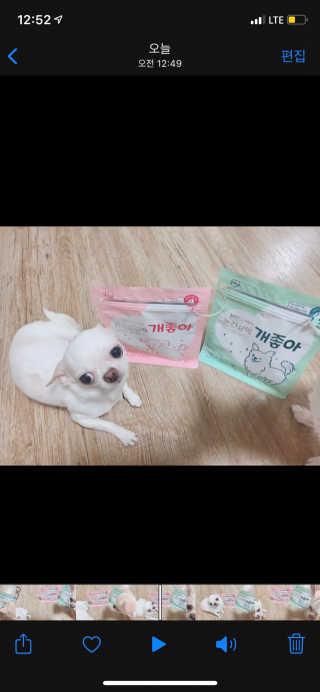 My Pet Care 천연단백질 관절건강에 개좋아 — 5점을 준 리뷰어가 2021년 3월 올린 사용 사진