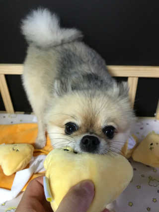 Ariel님이 올린 리뷰 사진 2