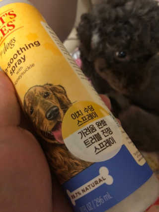 버츠비 이치수딩 스프레이 — 5점을 준 리뷰어가 2020년 10월 올린 사용 사진