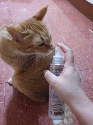 아리네님이 올린 리뷰 사진 3