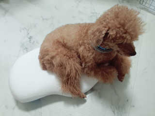 김이설님이 올린 리뷰 사진 3