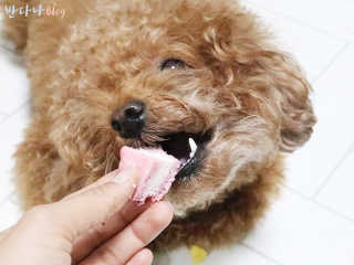 최정임님이 올린 리뷰 사진 3