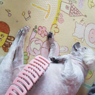 또로링님이 올린 리뷰 사진 4