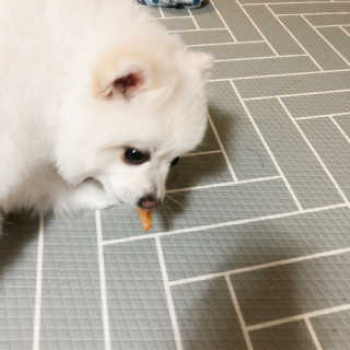 꾸눙맘님이 올린 리뷰 사진 3
