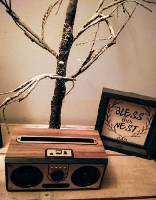 SEVIZ RETRO20W 레트로 블루투스 스피커 — 5점을 준 리뷰어가 2020년 6월 올린 사용 사진
