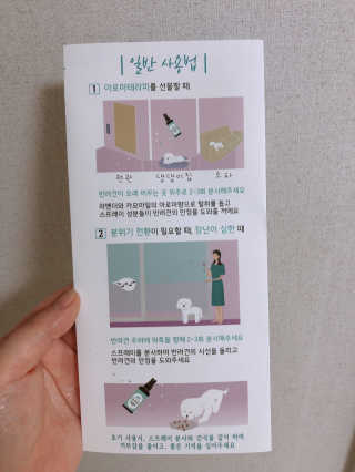 콩순이님이 올린 리뷰 사진 2