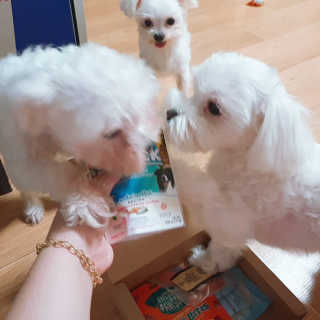 숮이님이 올린 리뷰 사진 2
