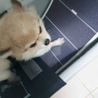 햇살나래님이 올린 리뷰 사진 2