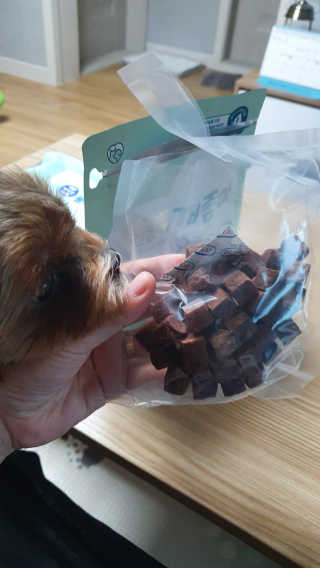 My Pet Care 천연단백질 눈건강에 개좋아 — 3점을 준 리뷰어가 2020년 12월 올린 사용 사진
