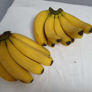 [스미후루] 감숙왕 바나나 2팩 2.6kg 이벤트 — 5점을 준 리뷰어가 2020년 11월 올린 사용 사진