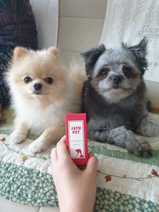 [레드허니밤]자유펫 고양이 강아지 발바닥 밤 14g — 5점을 준 리뷰어가 2020년 7월 올린 사용 사진