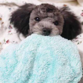 엄지콩님이 올린 리뷰 사진 3