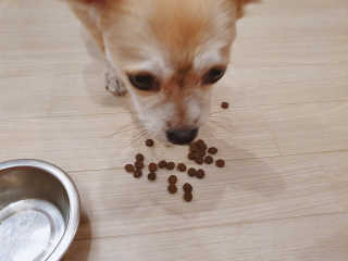 좋아님이 올린 리뷰 사진 3