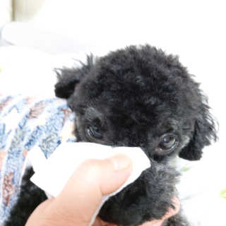 쓔리님이 올린 리뷰 사진 2