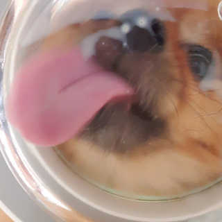 쿵사랑해님이 올린 리뷰 사진 3