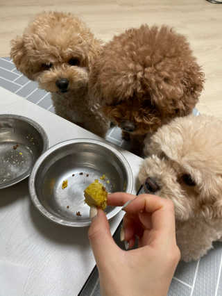 숙블리님이 올린 리뷰 사진 2