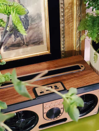 SEVIZ RETRO20W 레트로 블루투스 스피커 — 5점을 준 리뷰어가 2020년 10월 올린 사용 사진
