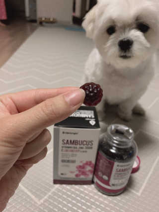 김나영님이 올린 리뷰 사진 2