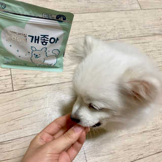 My Pet Care 천연단백질 눈건강에 개좋아 — 5점을 준 리뷰어가 2021년 1월 올린 사용 사진