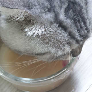 이째님이 올린 리뷰 사진 2