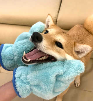 최라벨님이 올린 리뷰 사진 1