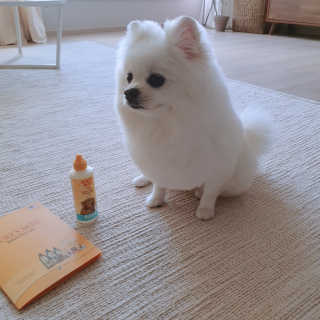 꺼네오기님이 올린 리뷰 사진 2
