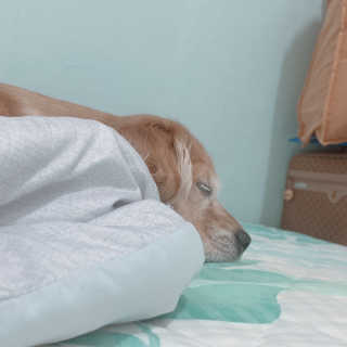 초오기님이 올린 리뷰 사진 3