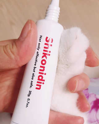[자유펫] 시코니딘 고양이 강아지 피부 보습 연고 20g — 5점을 준 리뷰어가 2020년 8월 올린 사용 사진