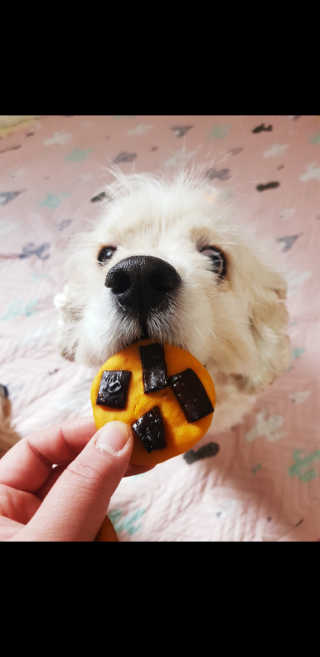 조소민님이 올린 리뷰 사진 3