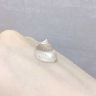 evergreen님이 올린 리뷰 사진 3