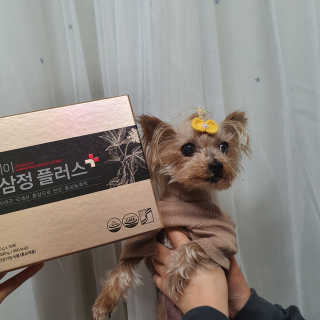 서울약사신협_투데이홍삼정플러스스틱_10g x 30포 — 5점을 준 리뷰어가 2020년 11월 올린 사용 사진