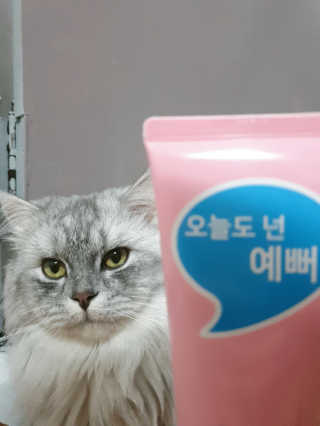 IO 아이오 오늘도 넌 예뻐 - 데일리딥 클렌징폼 — 5점을 준 리뷰어가 2020년 12월 올린 사용 사진