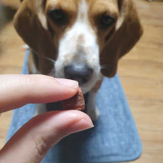 My Pet Care 천연단백질 눈건강에 개좋아 — 5점을 준 리뷰어가 2020년 11월 올린 사용 사진