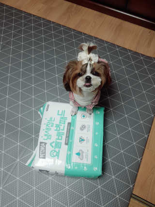 루이비똥💩님이 올린 리뷰 사진 2