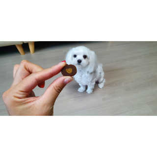 우쭈쭈님이 올린 리뷰 사진 3