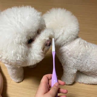 서라님이 올린 리뷰 사진 2