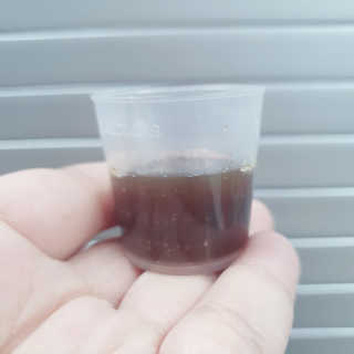 톰티님이 올린 리뷰 사진 2