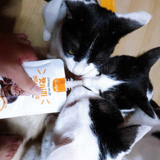 쑈쮸님님이 올린 리뷰 사진 3