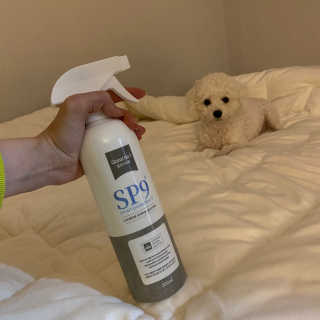 SP9 스프레이형 프리미엄 살균소독제 500ml+100ml — 5점을 준 리뷰어가 2020년 11월 올린 사용 사진