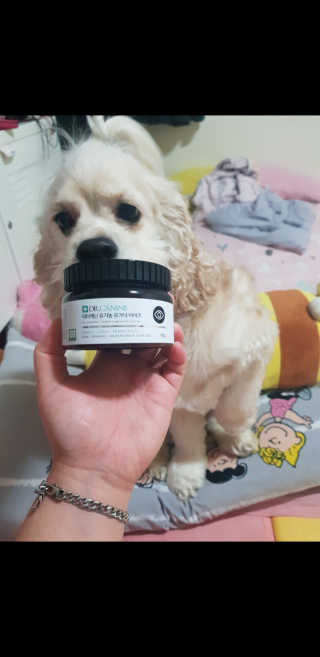 콜보리님이 올린 리뷰 사진 2