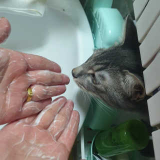 이째님이 올린 리뷰 사진 4