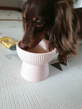 llalla님이 올린 리뷰 사진 4