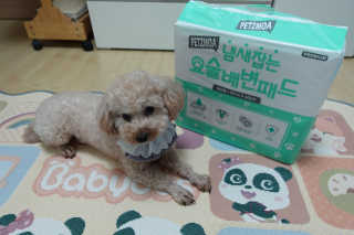 행복한코코네님이 올린 리뷰 사진 2
